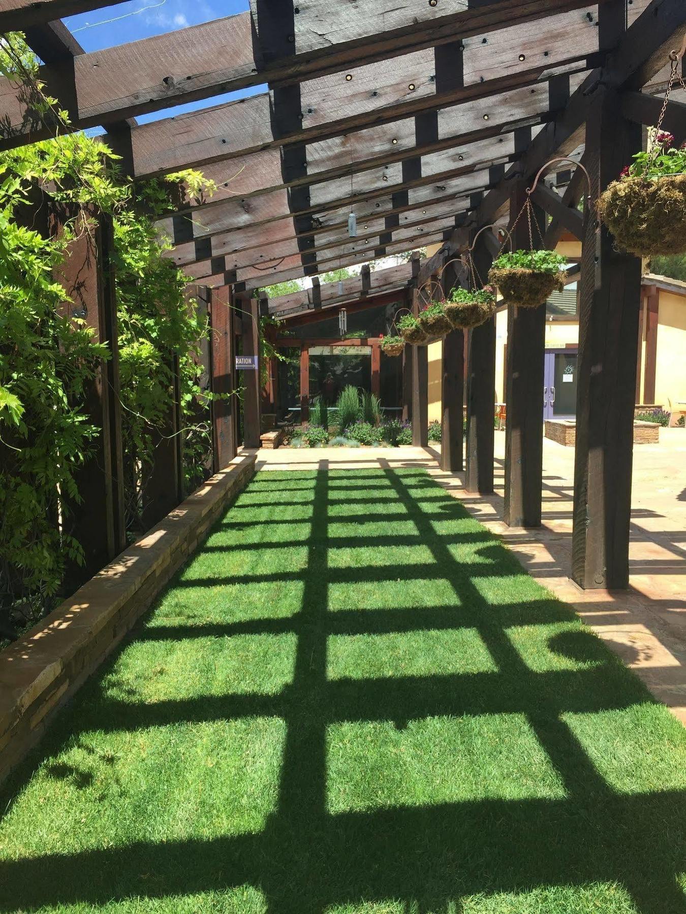 Desert Pearl Inn 斯普林代尔 外观 照片